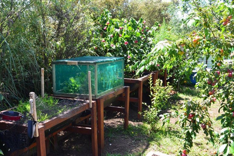 Photo of property in 14 Charles Street, Takapau, 4203