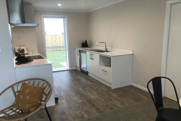 Photo of property in 87 Hinemoa Street, Levin, 5510