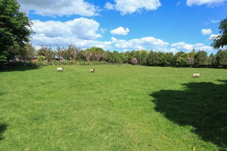 Photo of property in 155 Newell Road, Kinleith, Tokoroa, 3491