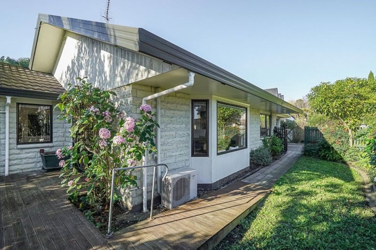 Photo of property in 93d Halifax Street East, The Wood, Nelson, 7010