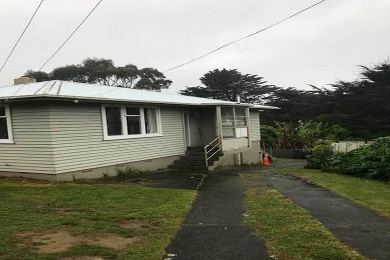Photo of property in 141 Castor Crescent, Cannons Creek, Porirua, 5024