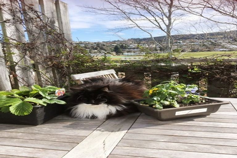 Photo of property in 26 Wales Street, Maori Hill, Dunedin, 9010