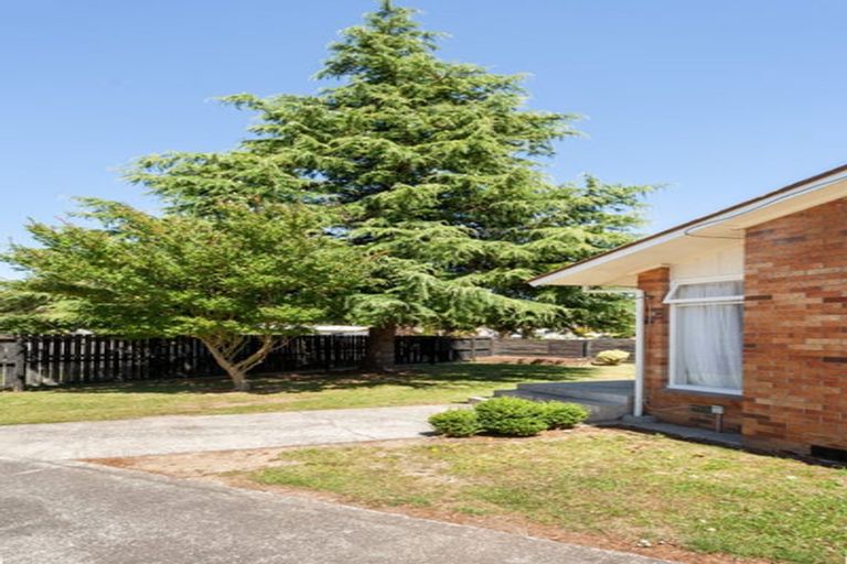 Photo of property in 98 Rawhiti Avenue, Matamata, 3400
