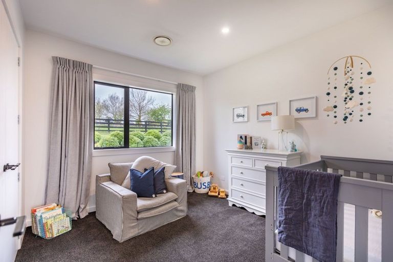 Photo of property in 18 Rose Street, Waipukurau, 4200