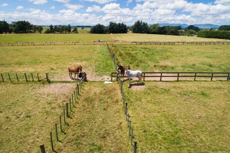 Photo of property in 119c Dixons Line, Bunnythorpe, Palmerston North, 4481