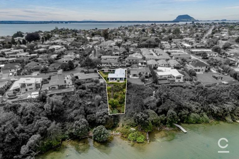 Photo of property in 23 Rewarewa Place, Matua, Tauranga, 3110