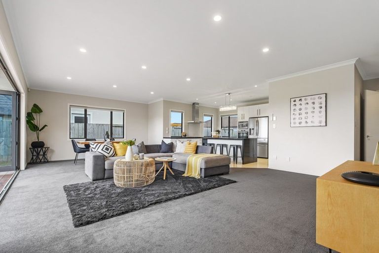 Photo of property in 8 Platina Place, Flagstaff, Hamilton, 3210