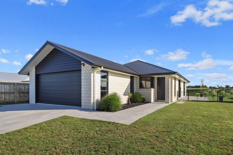 Photo of property in 7 Archford Street, Matamata, 3400