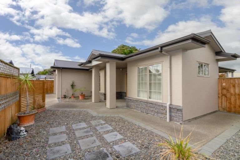 Photo of property in 21a Monckton Street, Feilding, 4702