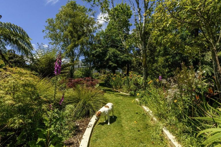 Photo of property in 480b Youngson Road, Whakamarama, 3179