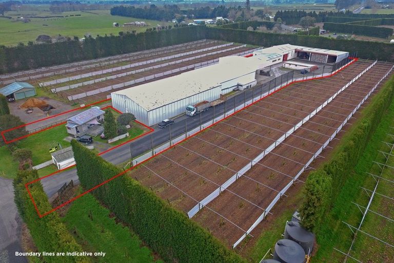 Photo of property in 11 Trig Road, Waihi, 3681