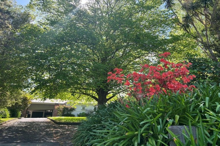 Photo of property in 18 Skerman Street, Marton, 4710