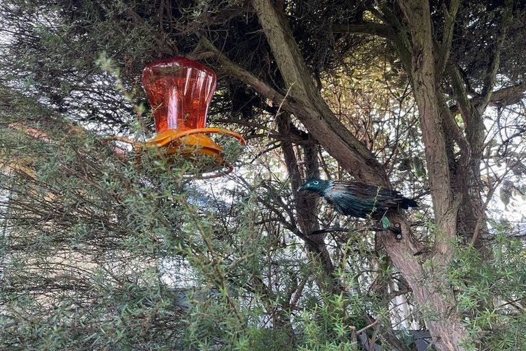 Photo of property in 21b Belt Street, Waimate, 7924