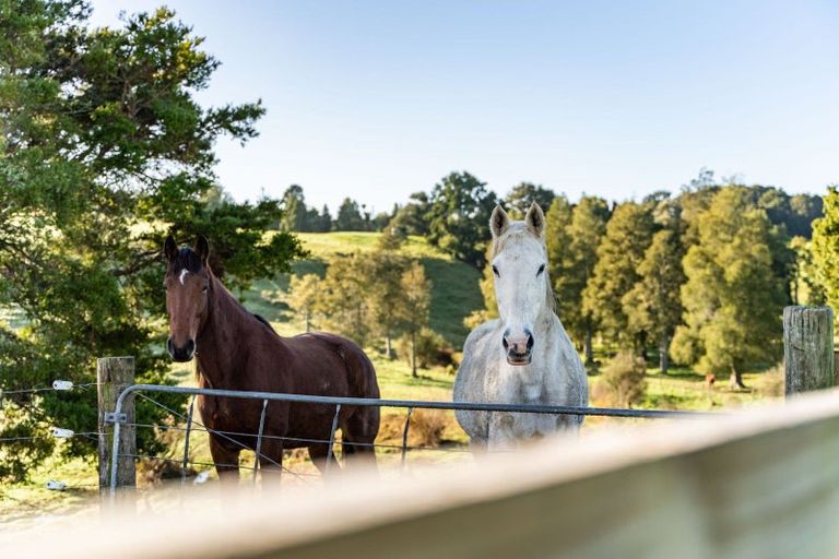 Photo of property in 168b Golden Stairs Road, Maungaturoto, 0589