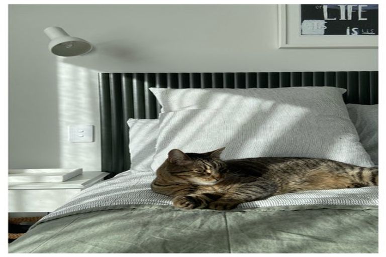 Photo of property in 37a Judea Road, Judea, Tauranga, 3110