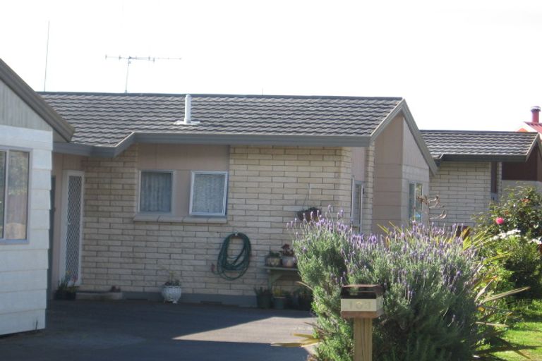 Photo of property in 101b Laurence Street North, Gate Pa, Tauranga, 3112