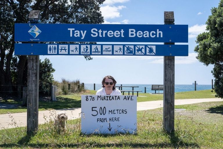 Photo of property in 87b Muricata Avenue, Mount Maunganui, 3116