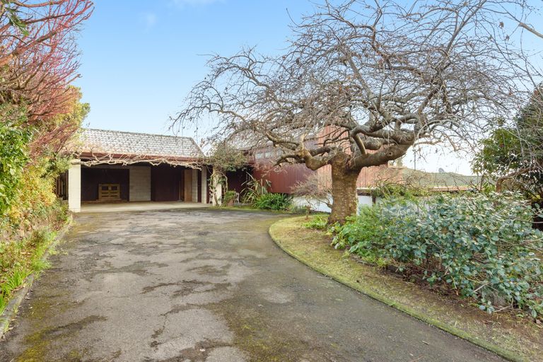 Photo of property in 16 Tilby Drive, Matua, Tauranga, 3110