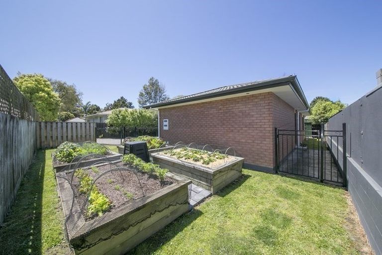 Photo of property in 52b Swanson Road, Henderson, Auckland, 0610