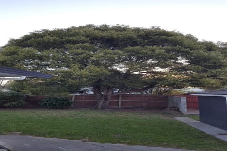 Photo of property in 14 Faulkland Drive, Witherlea, Blenheim, 7201