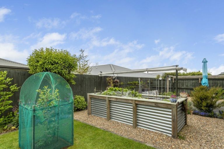 Photo of property in 6 Coleman Place, Katikati, 3129