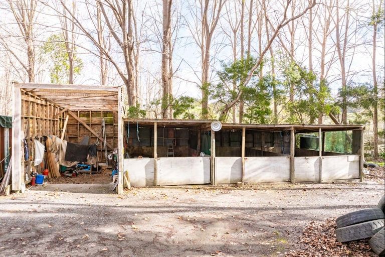 Photo of property in 227 Ararua Road, Waiotira, 0193