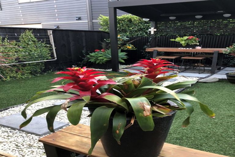 Photo of property in 6 Frank Gill Road, Hobsonville, Auckland, 0616