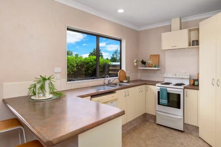 Photo of property in 1436b Cameron Road, Greerton, Tauranga, 3112