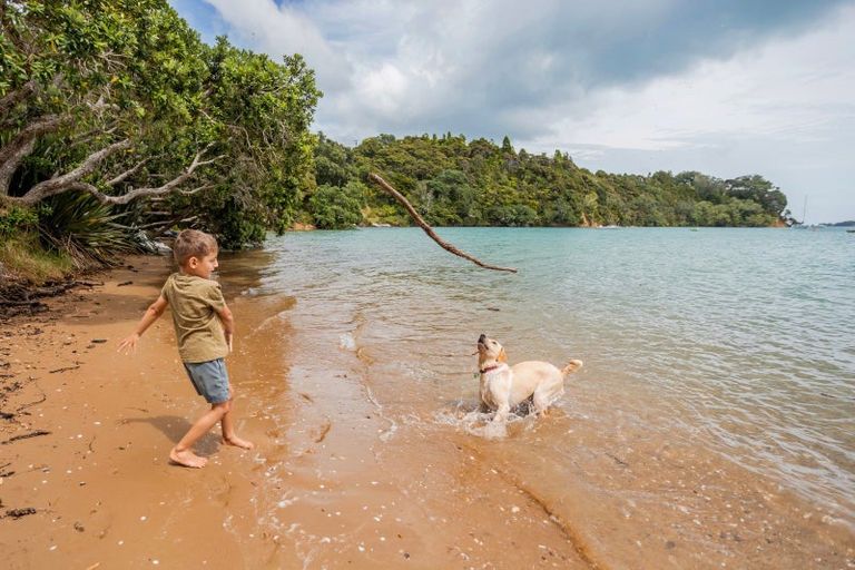 Photo of property in 10 Smith-grey Crescent, Parekura Bay, Russell, 0184