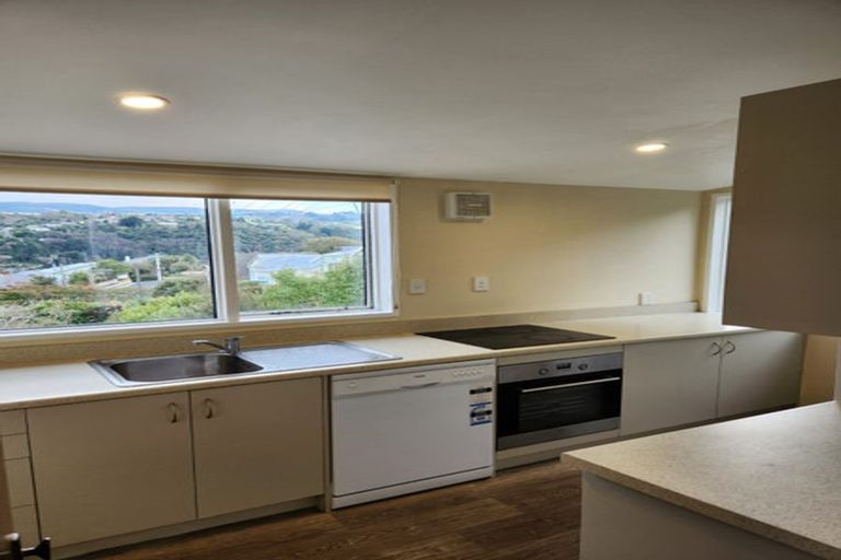 Photo of property in 8a Balmoral Street, Opoho, Dunedin, 9010