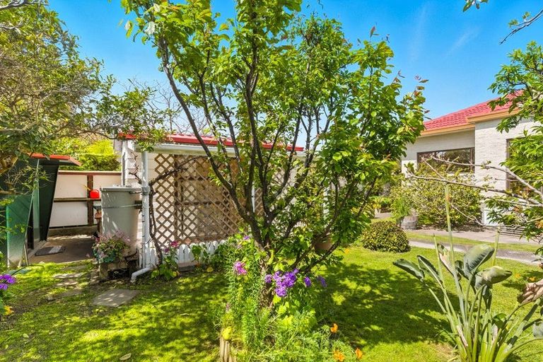 Photo of property in 51 Ngaio Road, Waikanae, 5036