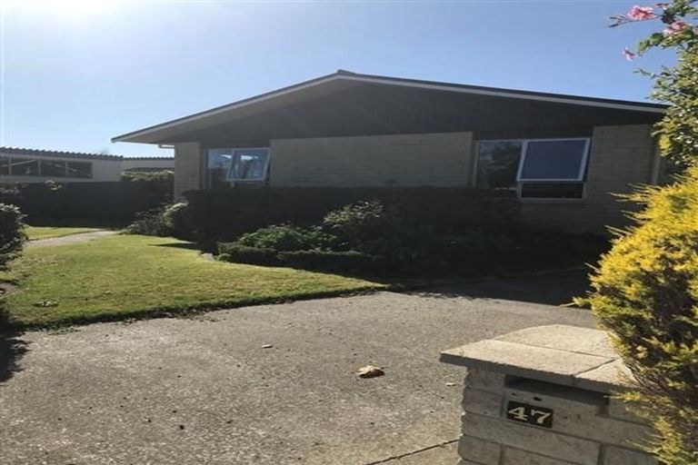 Photo of property in 47 James Cook Street, Havelock North, 4130