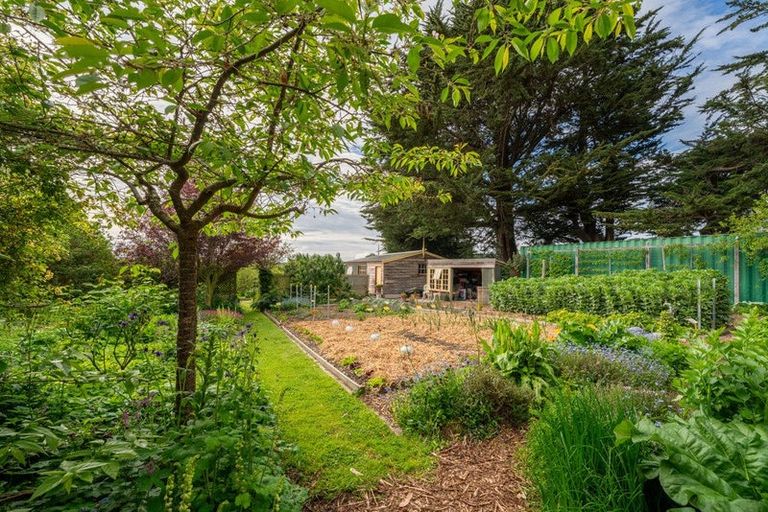 Photo of property in 56 Burgess Road, Herbert, Oamaru, 9495