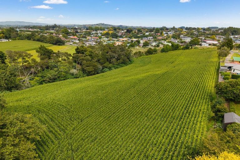 Photo of property in 6 Seales Road, Morrinsville, 3374