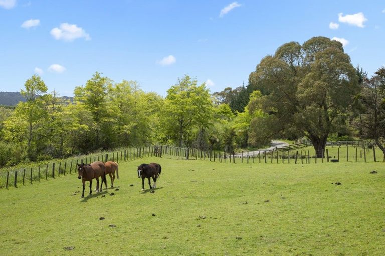 Photo of property in 8 Mcintyre Road, Mercer, 2474