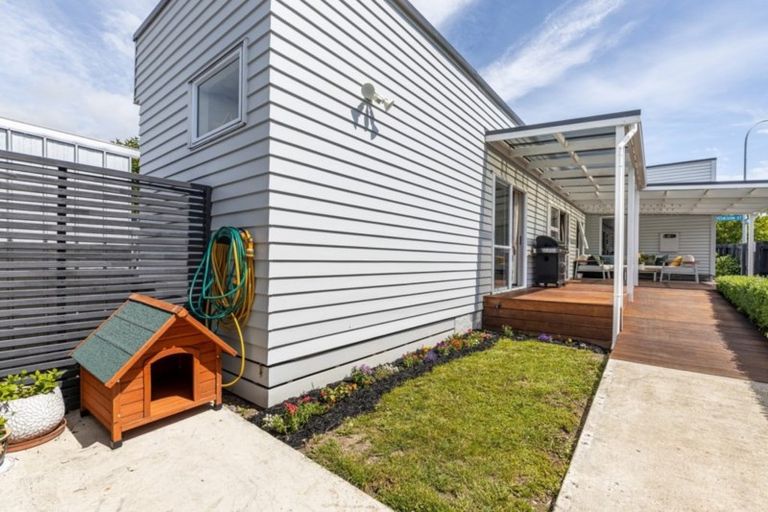 Photo of property in 9 Gorrie Street, Nelson South, Nelson, 7010