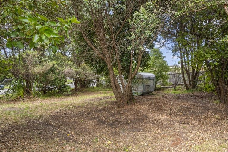 Photo of property in 53 Queens Road, Waikanae Beach, Waikanae, 5036