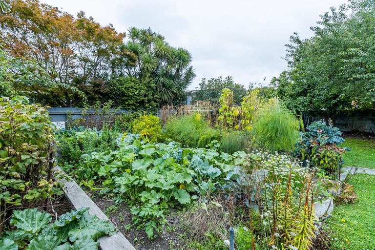 Photo of property in 46 Tawa Street, Glenwood, Timaru, 7910