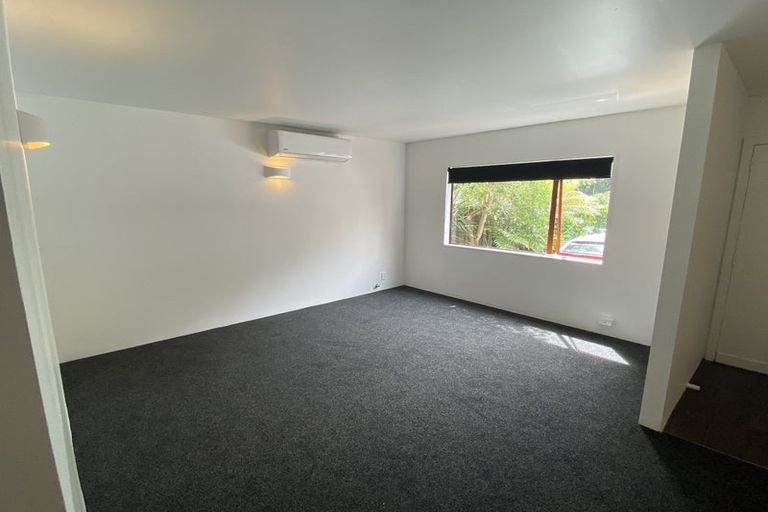 Photo of property in 11b Dawson Street, Hamilton East, Hamilton, 3216