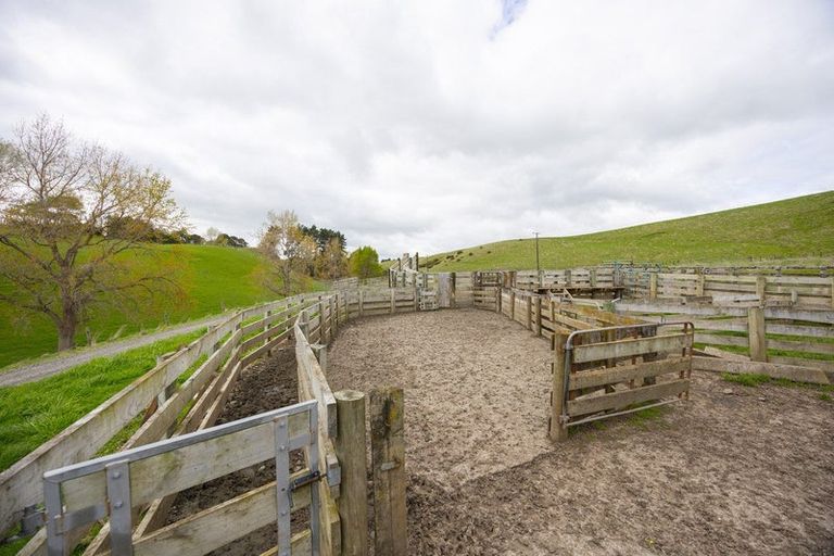 Photo of property in 234 Sandon Road, Feilding, 4779