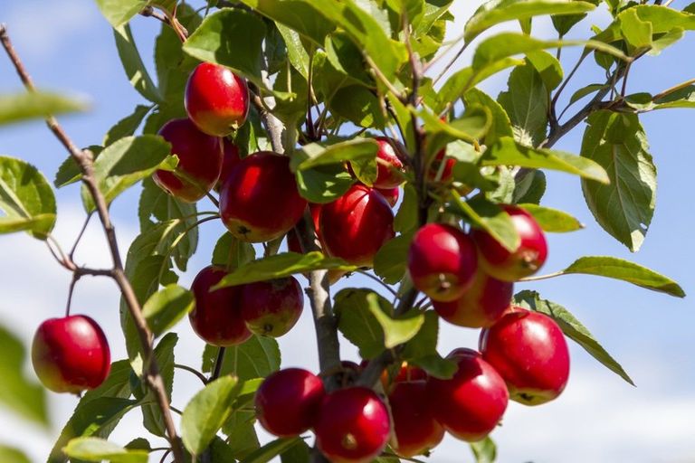 Photo of property in 1 Aqua Way, Paraparaumu, 5032