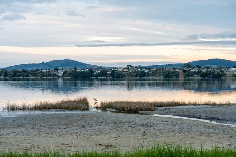 Photo of property in 12 Thirteenth Avenue, Tauranga South, Tauranga, 3112