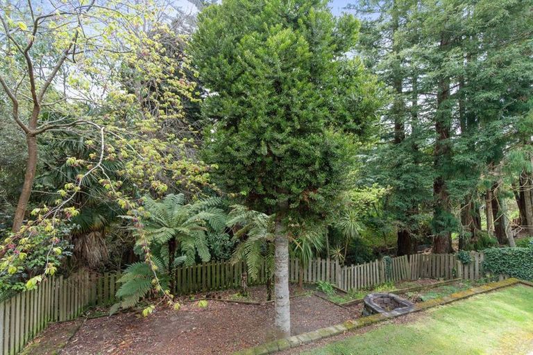 Photo of property in 15 Sandford Place, Chartwell, Hamilton, 3210