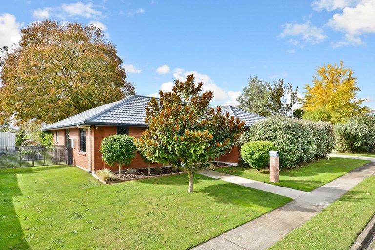 Photo of property in 43 Overdale Road, Putaruru, 3411