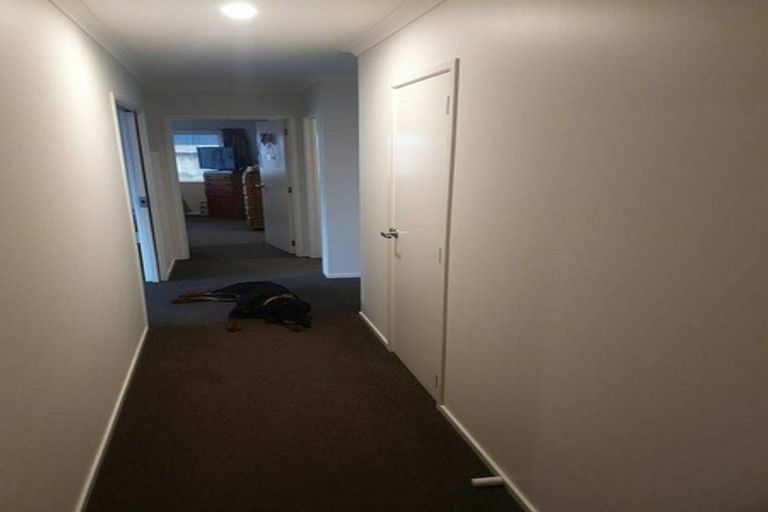 Photo of property in 54 Awataha Crescent, Pyes Pa, Tauranga, 3110