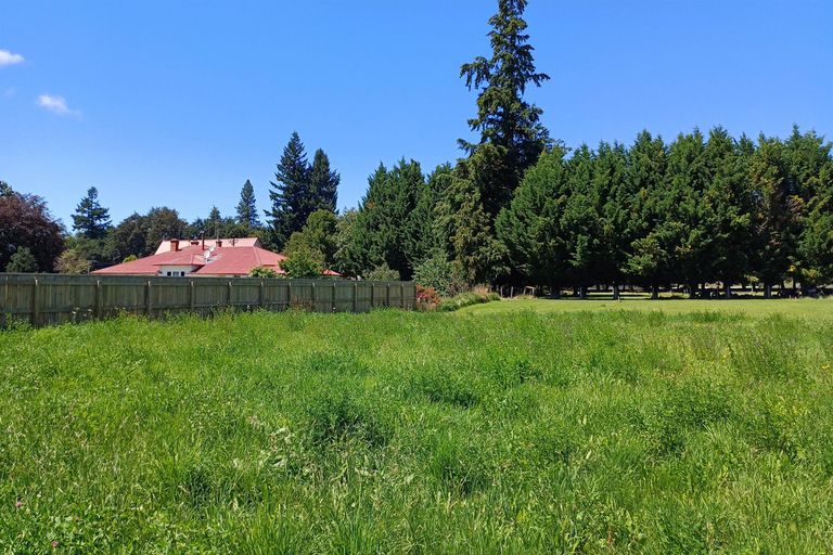 Photo of property in 23 Hamilton Street, Fairlie, 7925