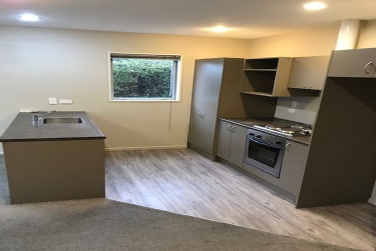 Photo of property in 145 Purchas Street, Edgeware, Christchurch, 8013