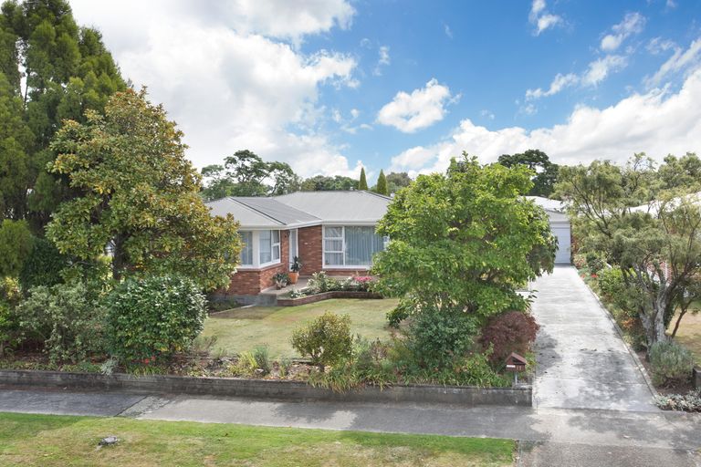 Photo of property in 17 Henare Street, West End, Palmerston North, 4412