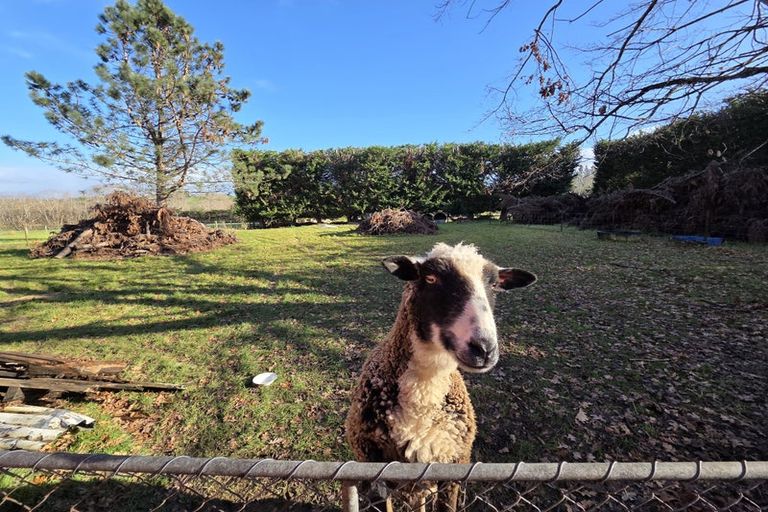 Photo of property in 905 Tuapeka Mouth Road, Tuapeka Mouth, Balclutha, 9274