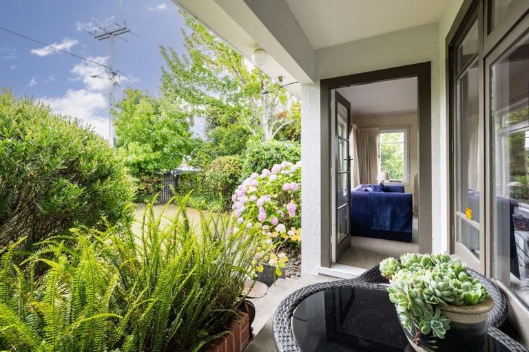 Photo of property in 59a Middle Road, Havelock North, 4130